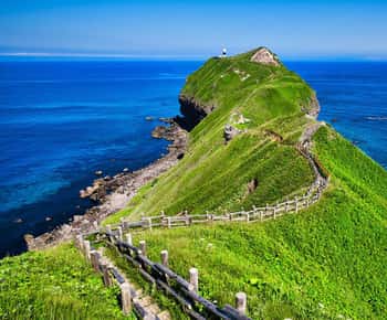 From Sapporo: Hokkaido Highlights Day Trip