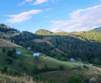 Sibiu: Caminhada nas montanhas Cindrel com brunch tradicional