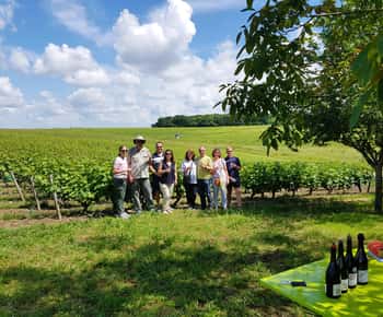 Van Tours: Middag wijntour in de Loire-vallei naar Vouvray