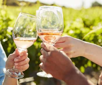 Toronto: Niagara-on-the-Lake, degustazione di vini e tour del cioccolato