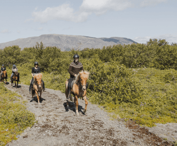 Borgarnes: Horseback Riding Tour with Prep Lesson