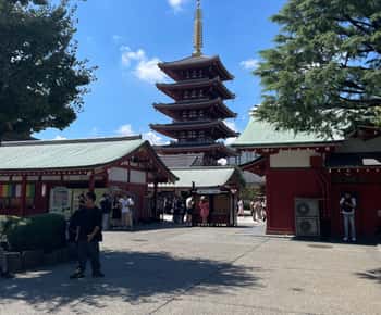 Tokyo: Private City Highlights Tour