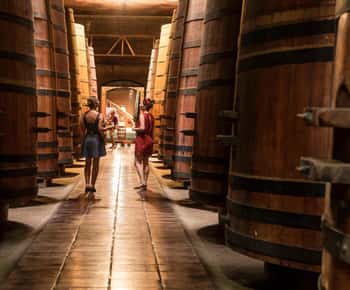 Santiago: Cousiño Macul Official Winery Tour with Tasting