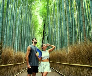 Kyoto: bambù di Arashiyama, scimmie, matcha e tempio UNESCO