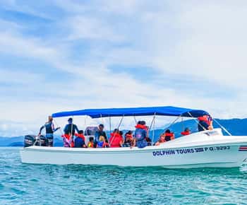 Desde Uvita: excursión de un día al Parque Nacional Corcovado en barco