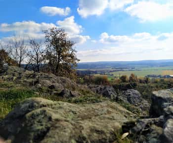 Para além de Brno: Segredos da Natureza da Morávia - excursão de meio dia