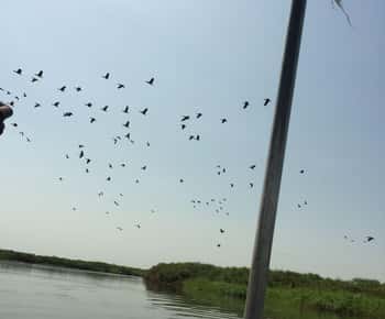 6 Day 5 Night Mundari and Dinka tribe & Sudd Swamp Tour