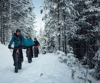 E-Fatbike Adventure in Snowy Forest – Levi