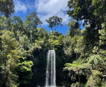 Cairns: Millaa Millaa vízesés túra: Paronella, Lake Barrine & Millaa Millaa Falls Tour