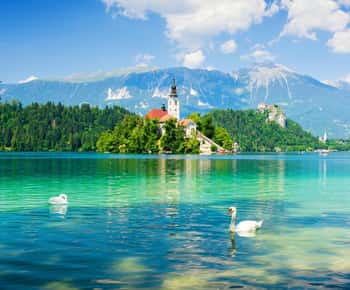 From Ljubljana: Lake Bled Day Tour