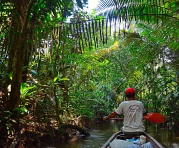 Vanuit Iquitos | Vaar over de Amazonerivier - Hele dag