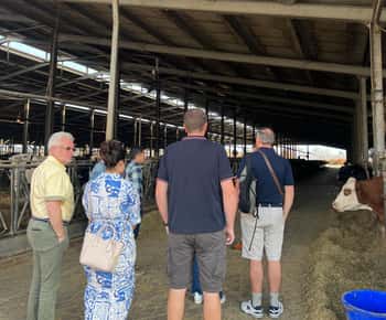 Modena/Bologna: Ferrari, Lambo, Käse, Essig Tour mit Mittagessen