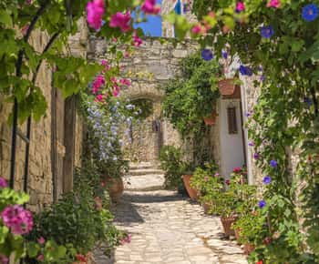 Authentic Cyprus with a Polish-speaking Guide