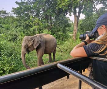 Kandy: 4-daagse Sri Lanka volledige privétour naar Colombo