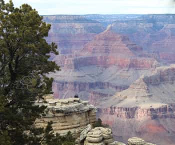 Από το Boulder City: Εκδρομή στο South Rim του Εθνικού Πάρκου του Grand Canyon