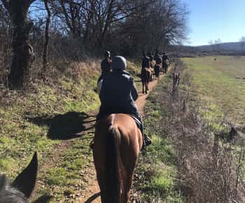 Siena: Horseback Tour on the Via Francigena