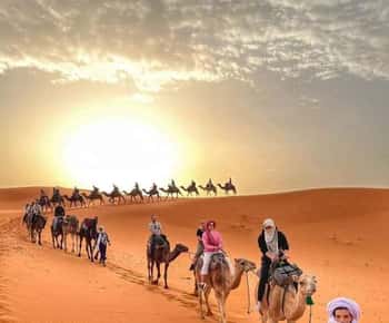 From Merzouga: Overnight Camel Trek over Erg Chebbi Dunes