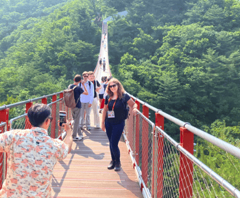 Von Seoul: Geführte Tour durch die entmilitarisierte Zone Südkoreas