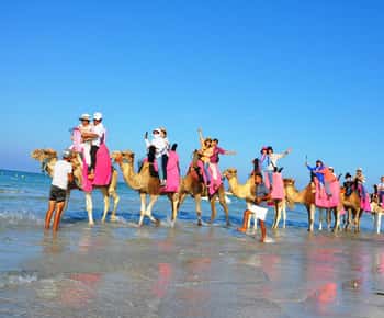 Djerba Camel&horse ride: enjoy the sunset in the blue Lagoon