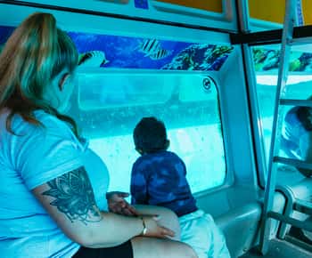 Fuerteventura: Glass Bottom Boat Cruise with Lunch & Drinks