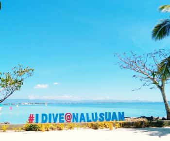 Mactan: Cebu Island Hopping Boat Tour with Lunch