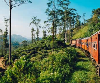 From Nuwara Eliya: Ella Scenic Train Ride Reserved Seats