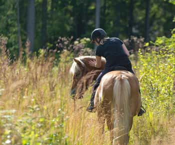 Cruseilles: Horseback Riding in the Countryside