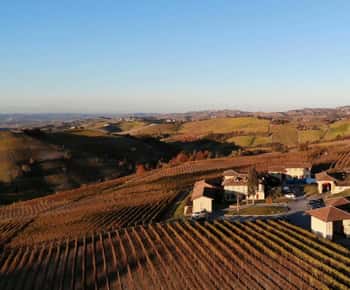 The Best of the Langhe: Wine Tasting & Traditional Meal