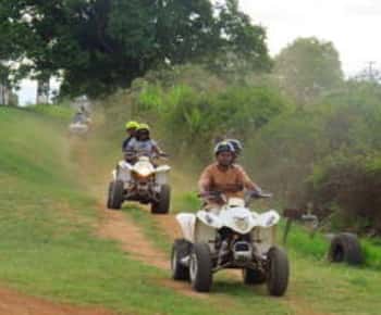 Hazyview: Guided Macadamia Plantation and Forest Quad Safari