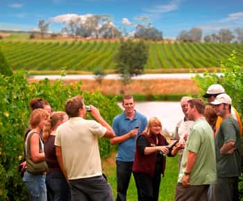 Melbourne: Full-Day Yarra Valley Wine Experience with Lunch