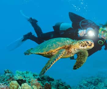 Alanya: Aventura de buceo para principiantes y profesionales