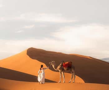 Majestuosidad del desierto: viaje de lujo de 3 días de Marrakech a Fez