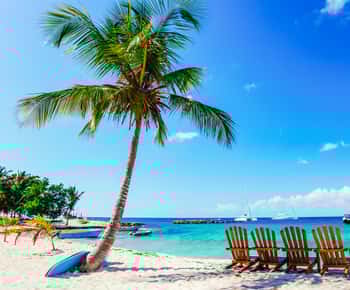 Punta Cana: Passeio de Catamarã à Ilha Saona com almoço buffet