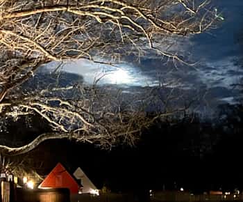 Williamsburg: Dead of Night Paranormal investigations Tour