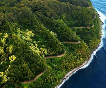 Road to Hana: Professional Guide, Food, Swimming, Waterfalls