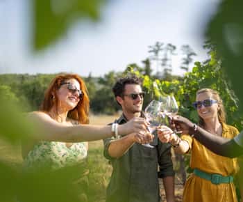 Tour de vinhos na Provence - Tour para pequenos grupos saindo de Cannes