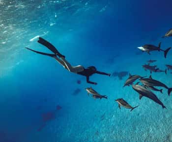 Hurghada ou Makadi: Descobre a magia da Dolphin House