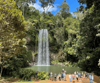 Cairnsből: Cairns: Atherton Tablelands és Paronella Park egynapos kirándulás