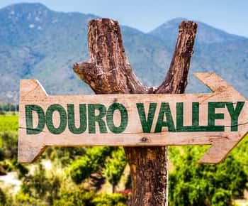 Von Porto aus: Douro Tal mit Bootstour, Weinverkostung und Mittagessen