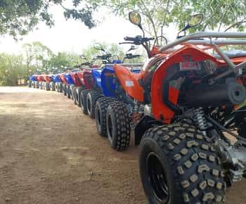 Sortie en Quad à Hammamet