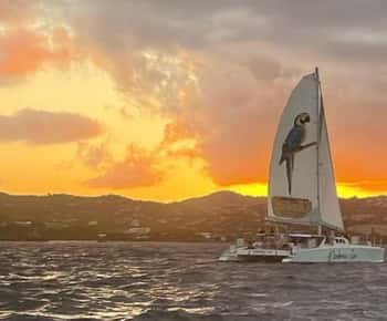 Champagne Sunset Sail from Margaritaville Resort