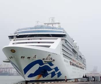 Ceylon Tea Experience from Colombo Port Passenger Terminal