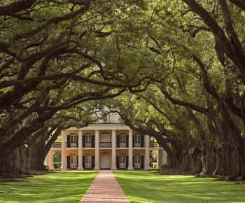 New Orleans: Tour di mezza giornata della piantagione di Oak Alley