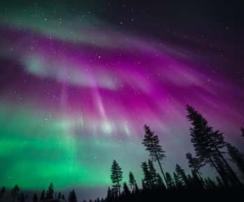 Rovaniemi: Aurora Hunting Group Tour - Guaranteed View