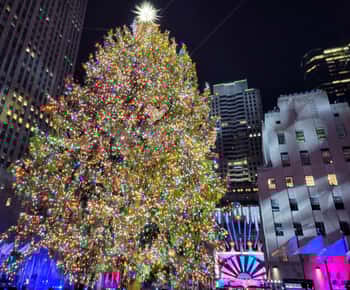 NYC: Holiday Lights - wycieczka z przewodnikiem autobusowym