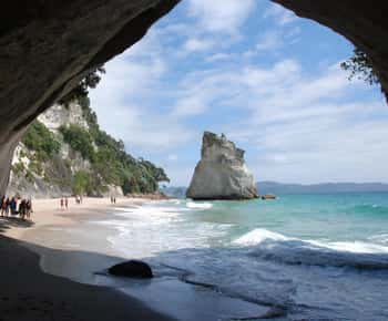 Auckland: Coromandel Day Tour z plażą Hot Water Beach