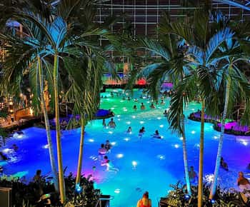 Bucharest: Therme Bucharest Spa Day with Luxury Transfer