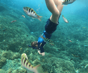 Sanur: Snorkelen in het kustgebied