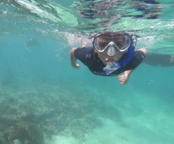 Tour di mezza giornata delle Tintoreras dall'Isola Isabela