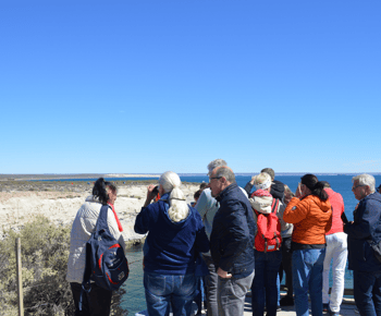 Puerto Madryn : Excursion à Punta Loma